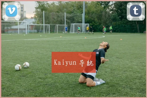 Kaiyun 导航