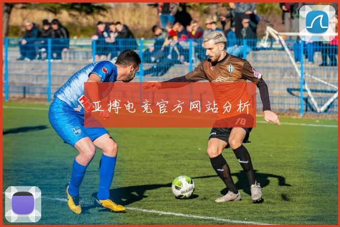 亚搏电竞官方网站分析
