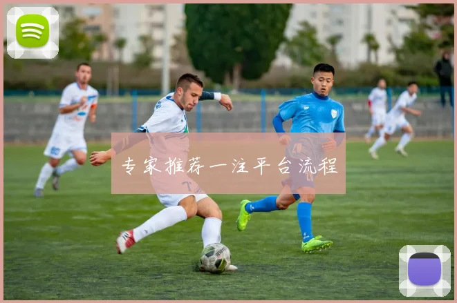 专家推荐一注平台流程