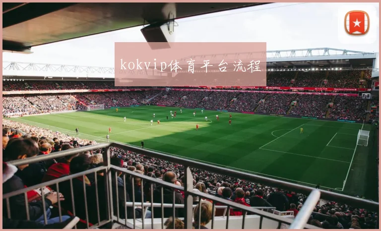 kokvip体育平台流程