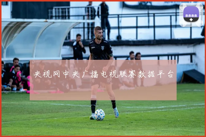 央视网中央广播电视联赛数据平台