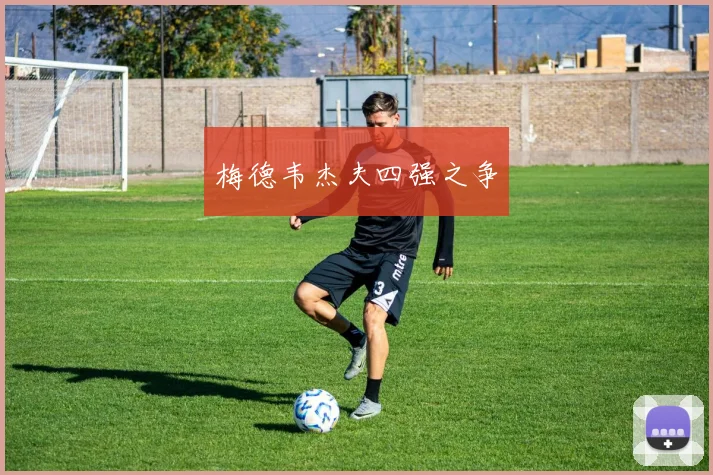 梅德韦杰夫四强之争