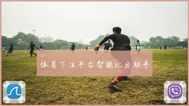 体育下注平台智能比分助手