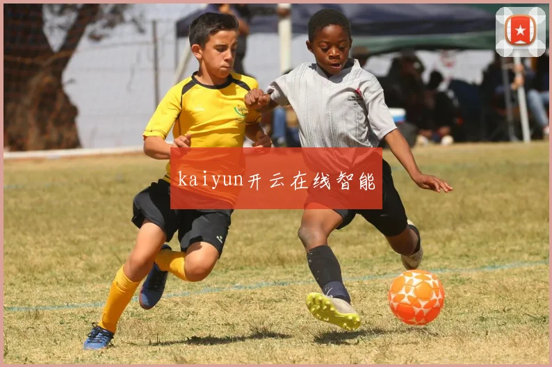 kaiyun开云在线智能
