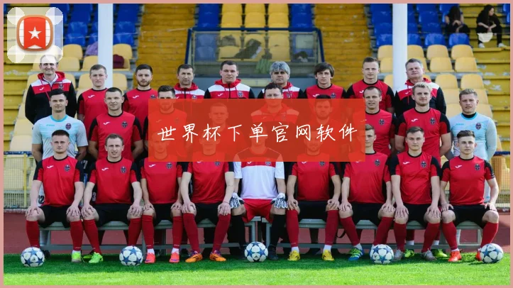 世界杯下单官网软件