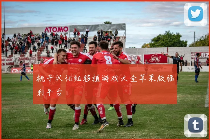 桃子汉化组移植游戏大全苹果版福利平台