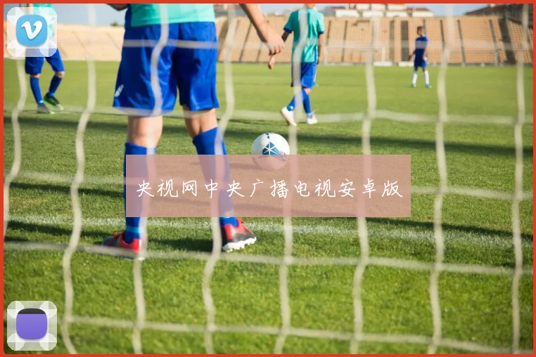 央视网中央广播电视安卓版