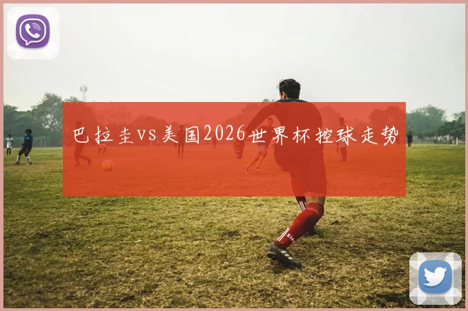 巴拉圭vs美国2026世界杯控球走势
