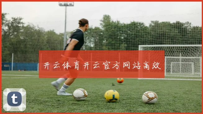 开云体育开云官方网站高效