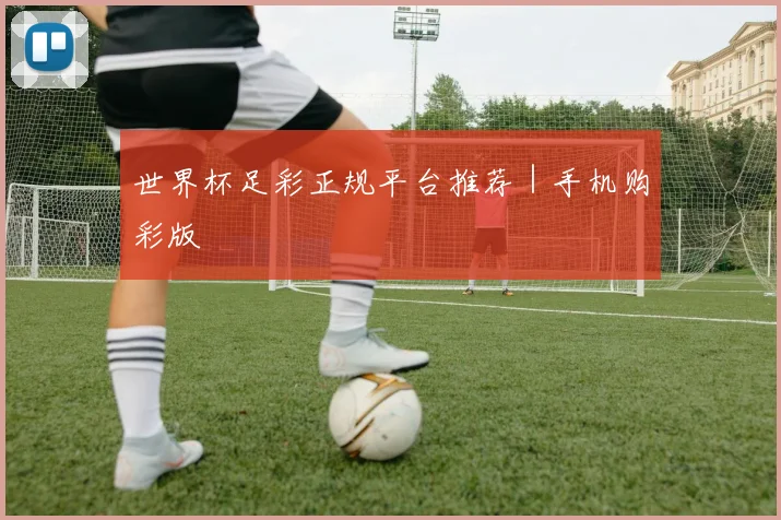 世界杯足彩正规平台推荐｜手机购彩版