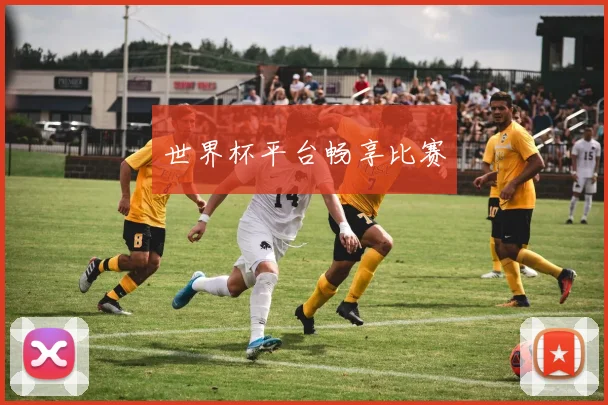 世界杯平台畅享比赛
