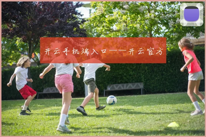 开云手机端入口——开云官方