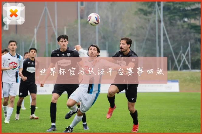 世界杯官方认证平台赛事回放