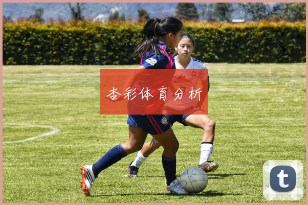杏彩体育分析