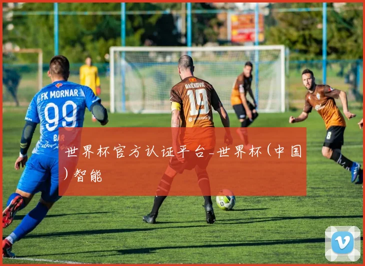 世界杯官方认证平台_世界杯(中国)智能