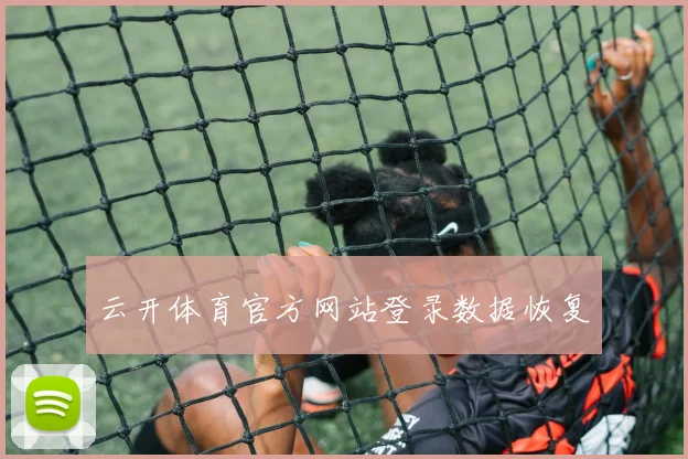 云开体育官方网站登录数据恢复