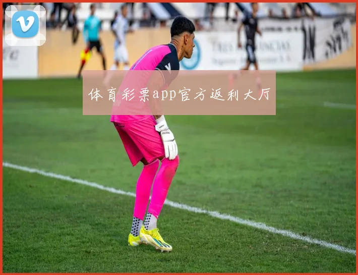 体育彩票app官方返利大厅