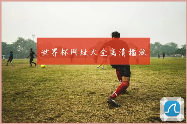 世界杯网址大全高清播放