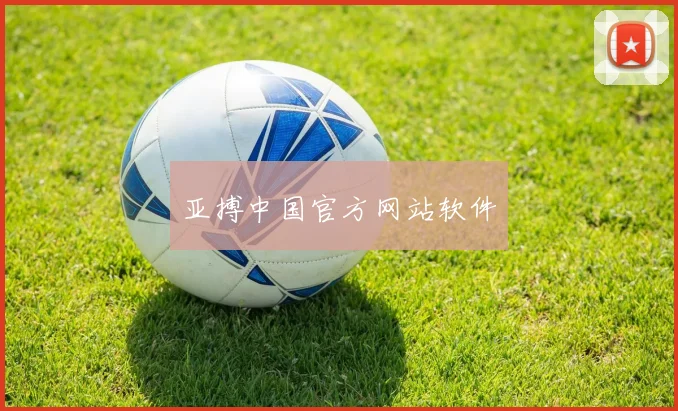 亚搏中国官方网站软件