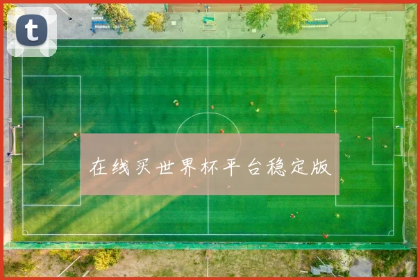 在线买世界杯平台稳定版