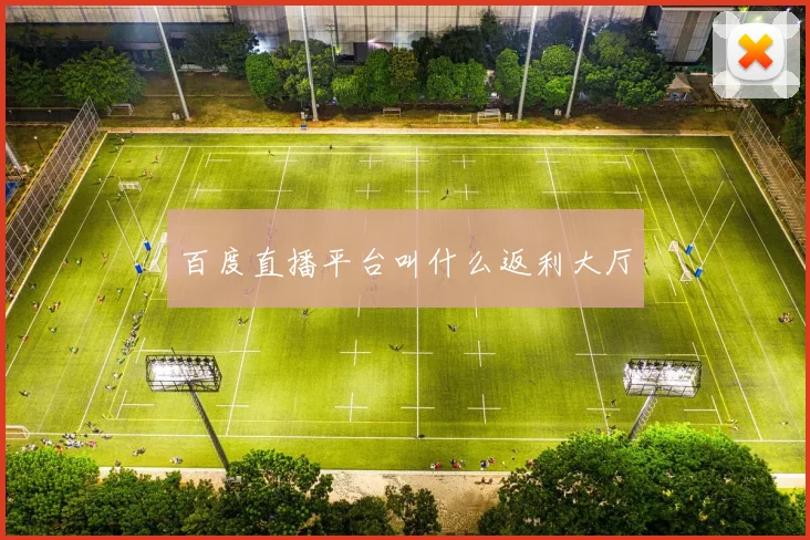 百度直播平台叫什么返利大厅