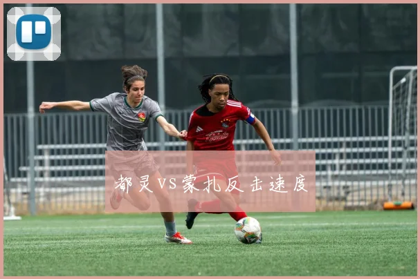 都灵vs蒙扎反击速度
