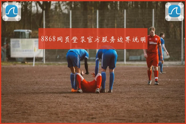 8868网页登录官方服务边界说明