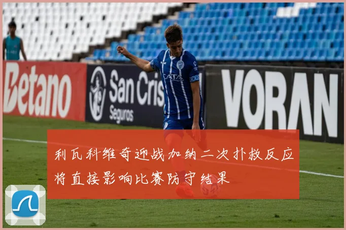 利瓦科维奇迎战加纳二次扑救反应将直接影响比赛防守结果
