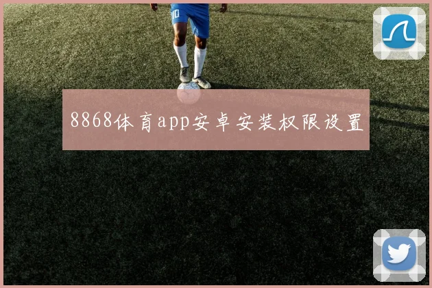 8868体育app安卓安装权限设置